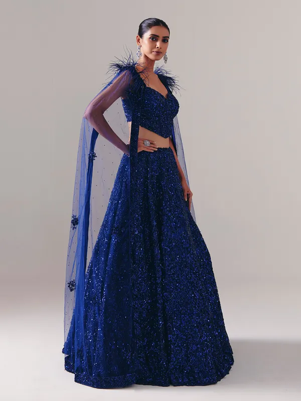 Designer blue net stone embellished lehenga choli