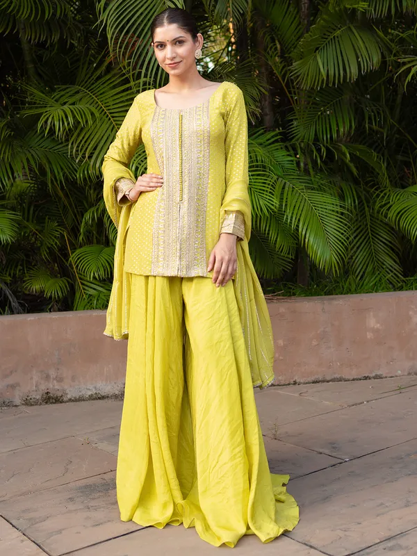 Designer light olive green georgette palazzo suit