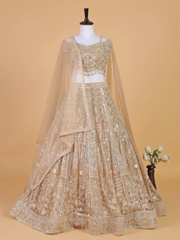 Elegant beige net lehenga choli for reception