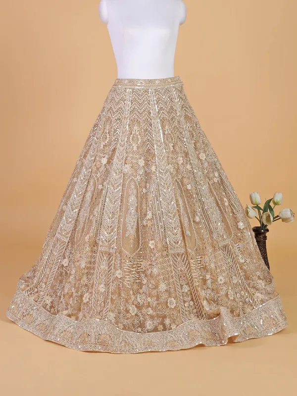 Elegant beige net lehenga choli for reception