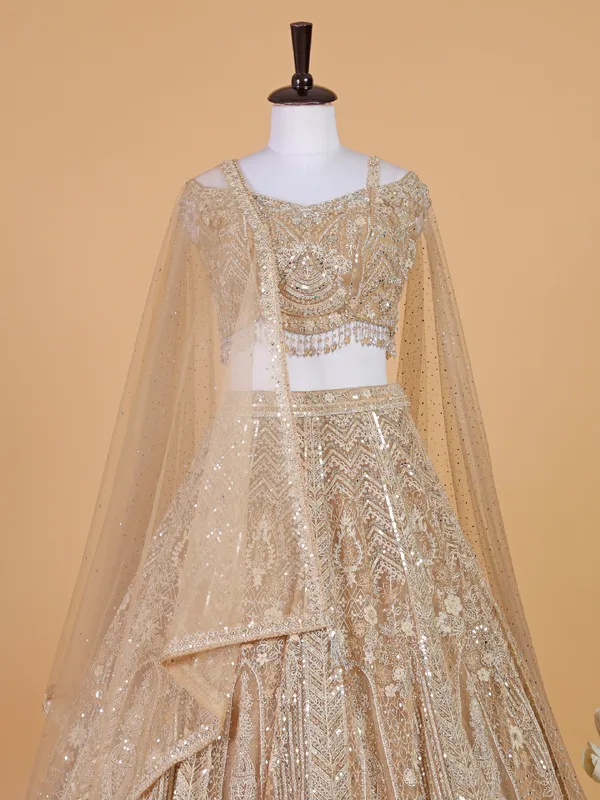 Elegant beige net lehenga choli for reception