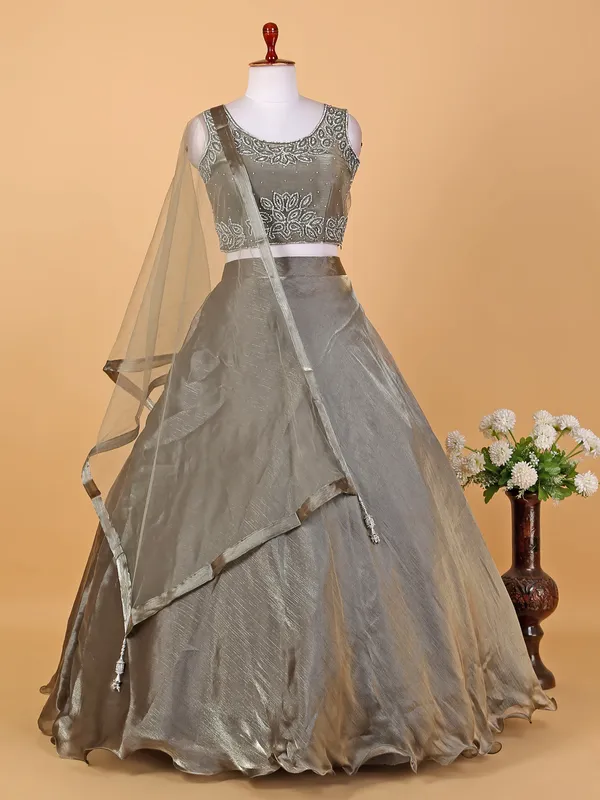 Elegant grey organza lehenga choli