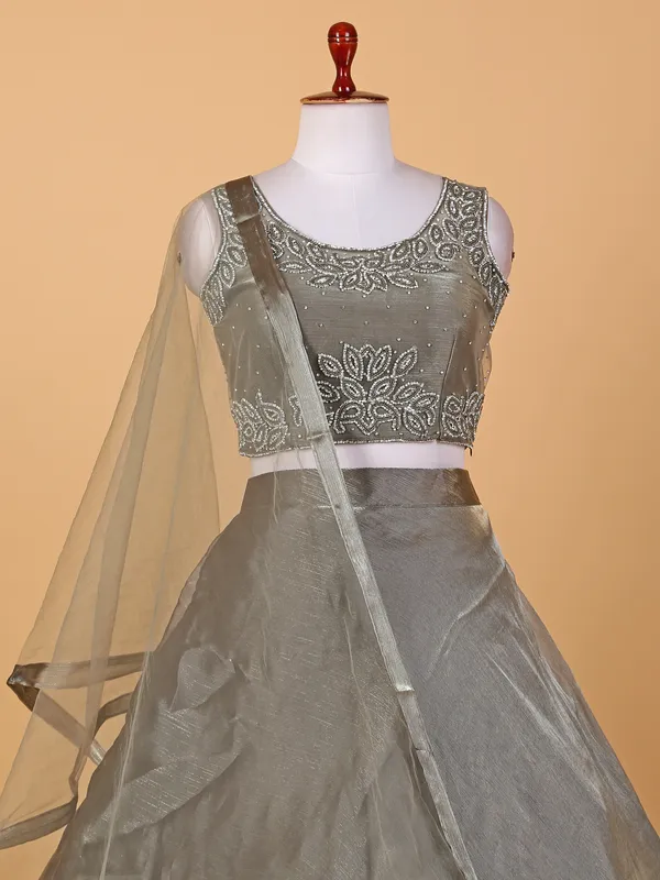 Elegant grey organza lehenga choli