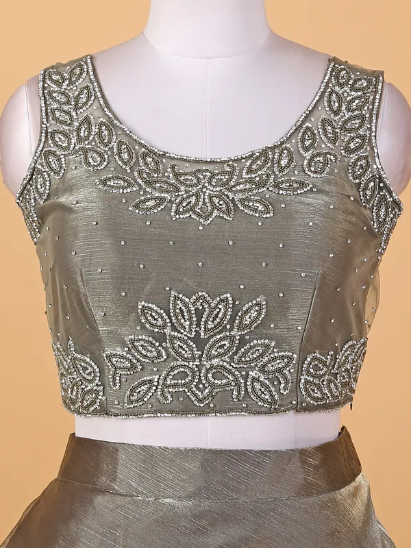 Elegant grey organza lehenga choli