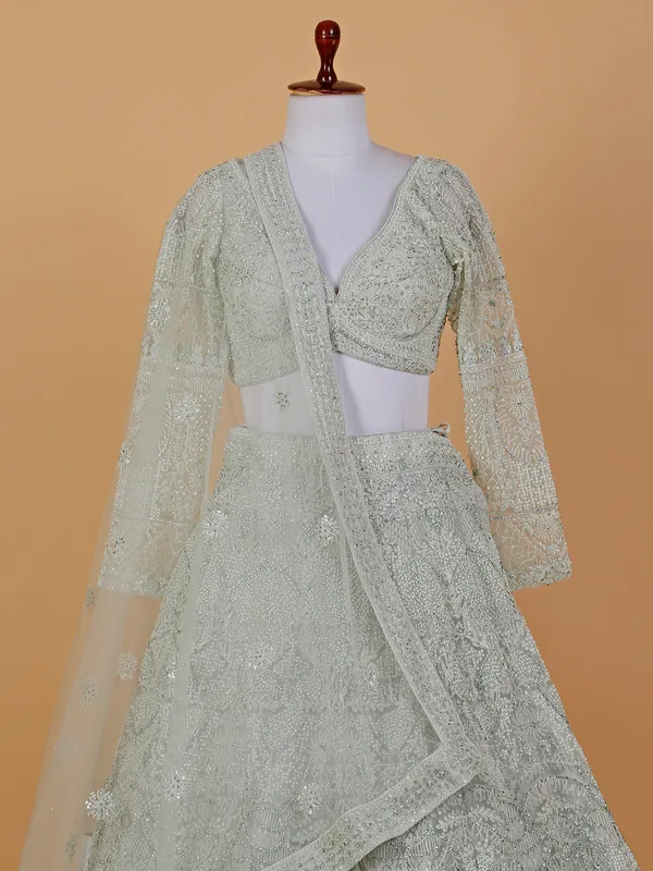 Elegant light green net lehenga choli