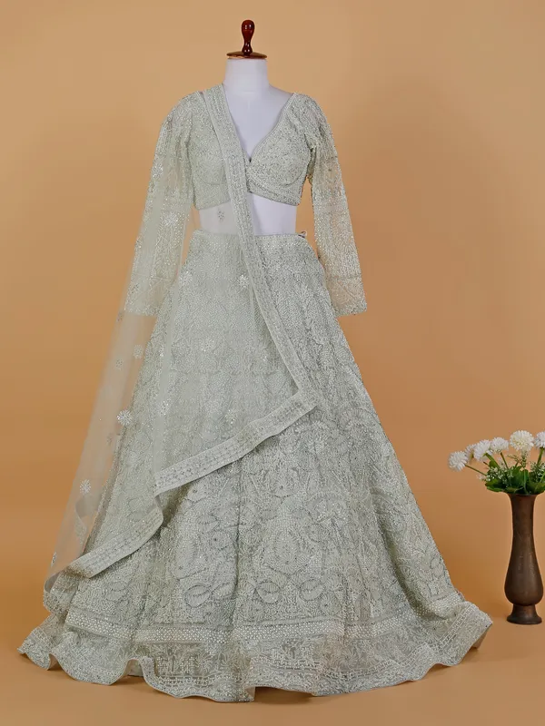Elegant light green net lehenga choli