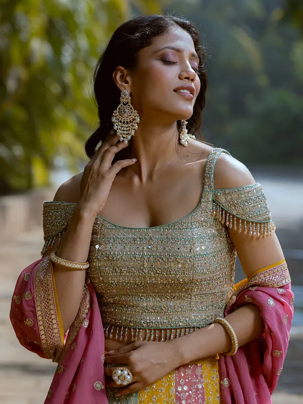 Elegant multi color lehenga choli