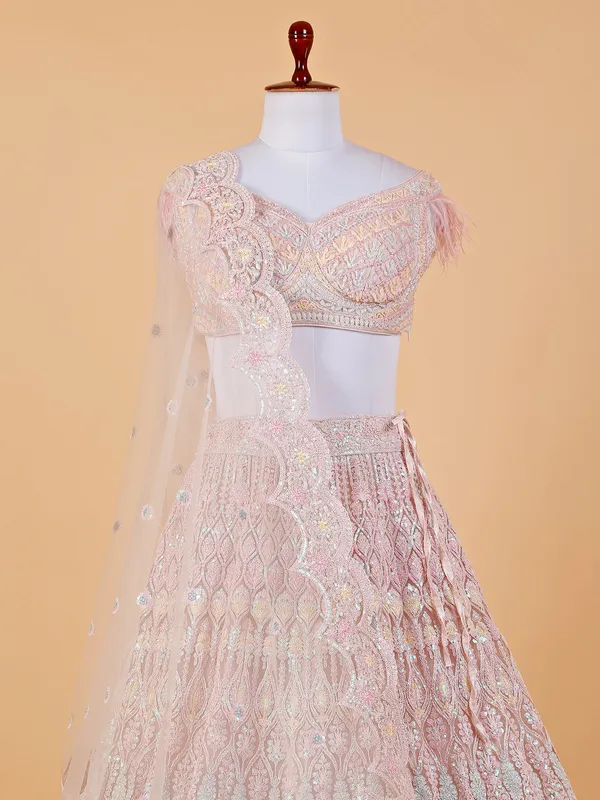 Elegant peach net lehenga choli