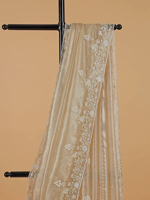 Elegantry organza beige saree