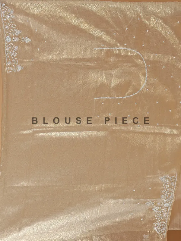 Elegantry organza beige saree
