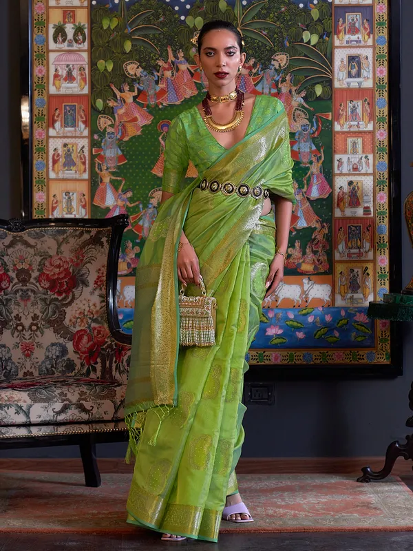 Fabulous lime green organza saree