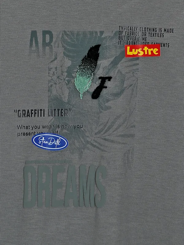 Freeze printed grey t shirt