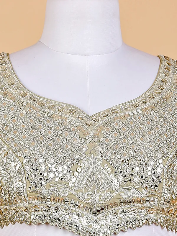Georgeous multi color georgette lehenga choli