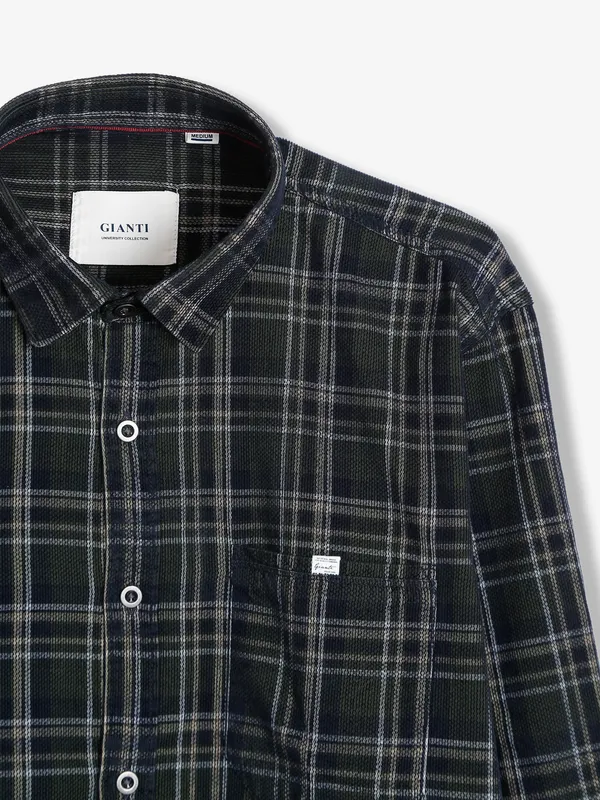 Gianti cotton black and olive checks shirt