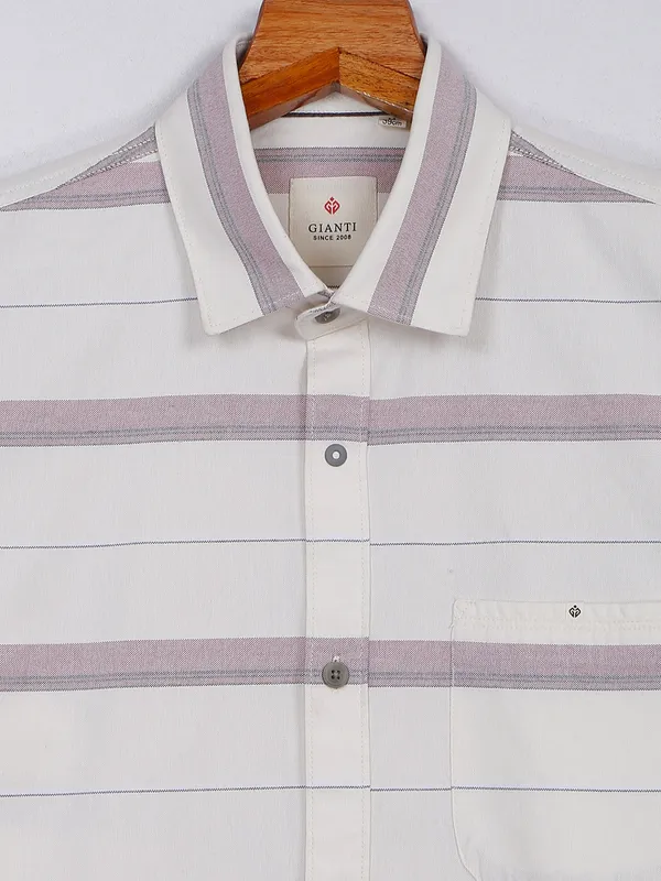 Gianti off white and pink stripe shirt