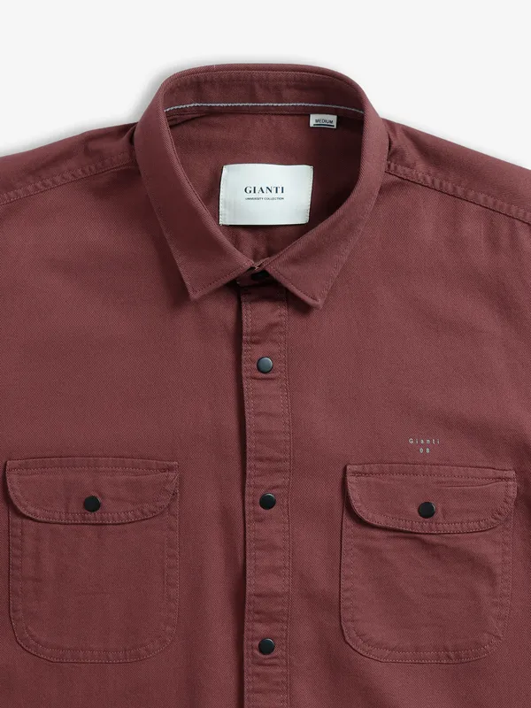 Gianti plain cotton shirt in brown