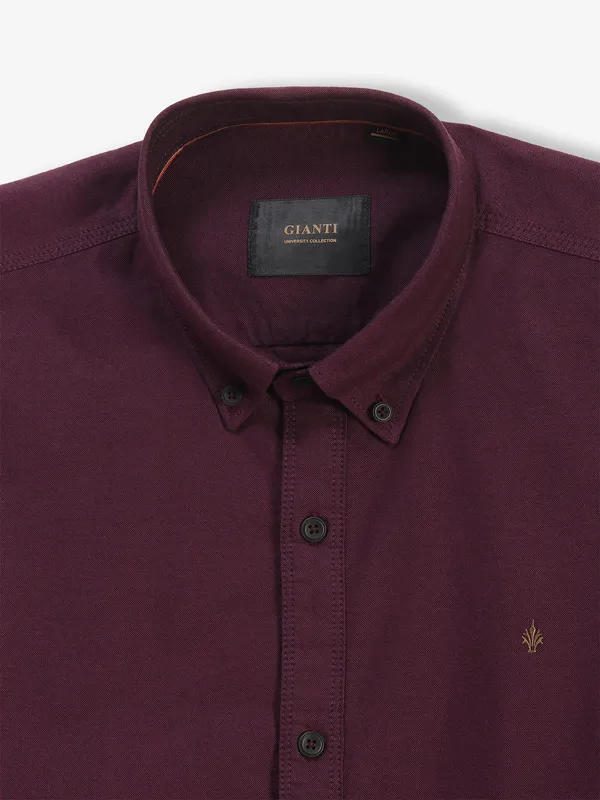 GIANTI plain wine cotton buttondown collar shirt
