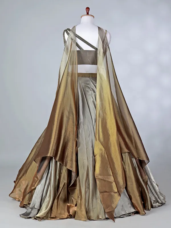 Gold and grey tissue silk lehenga choli