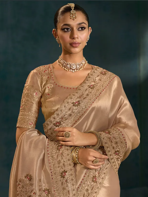 Golden silk saree for festive celebration