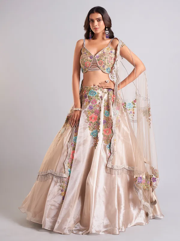 Gorgeous beige organza lehenga choli