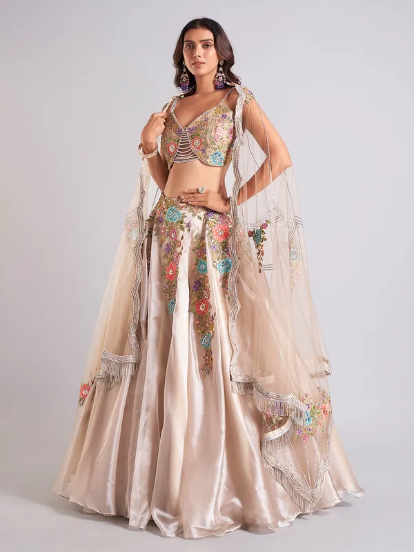 Gorgeous beige organza lehenga choli