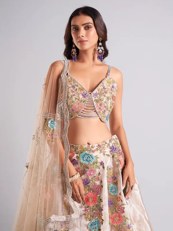 Gorgeous beige organza lehenga choli