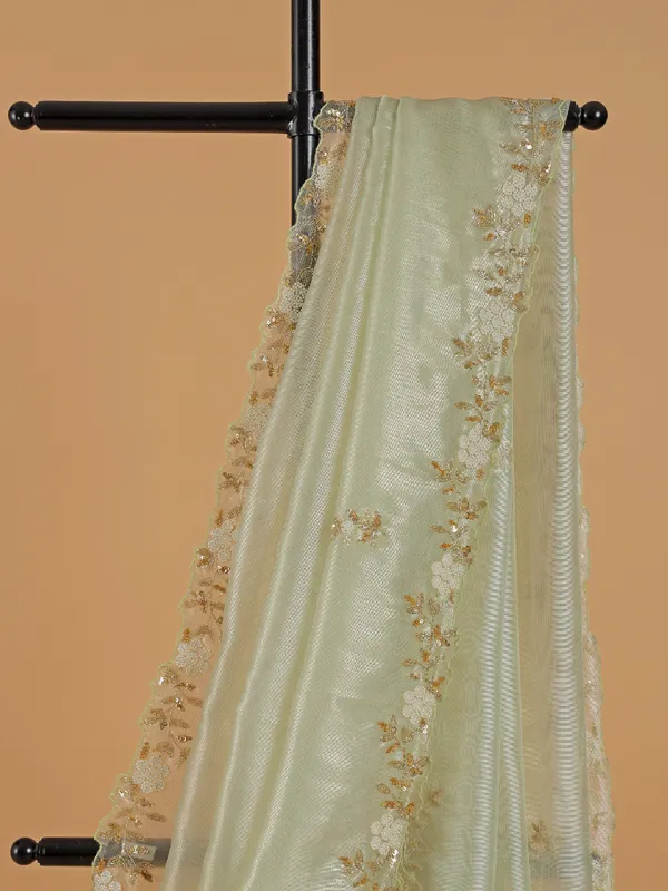 Gorgeous cream saree in organza