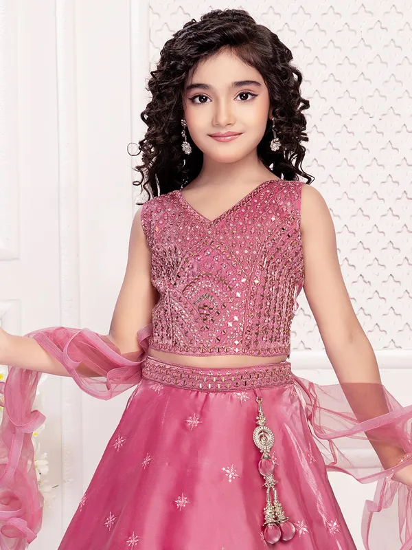 Gorgeous light wine silk lehenga choli