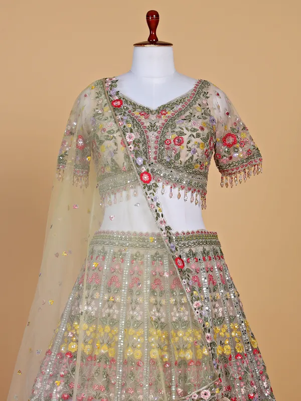 Gorgeous peach net lehenga choli