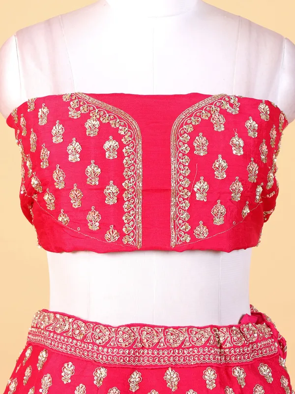 Gorgeous rani raw silk lehenga choli