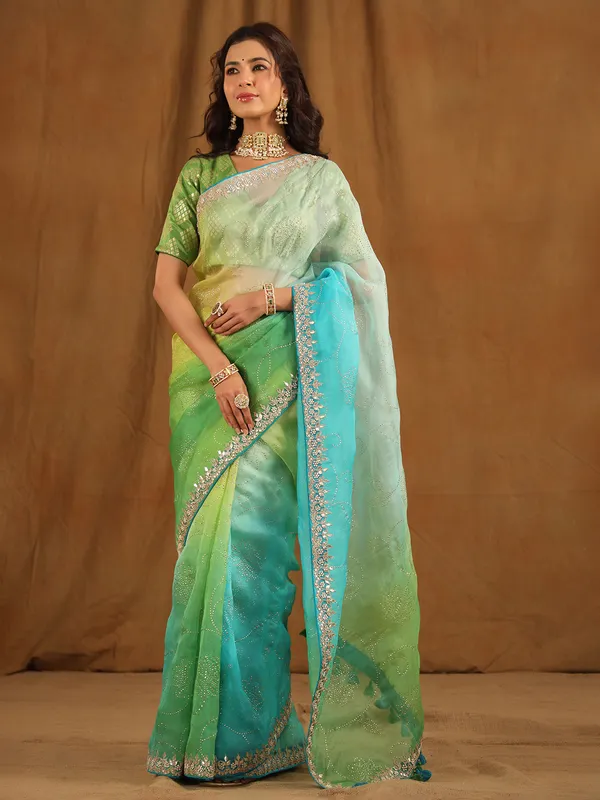 Green shaded organza saree