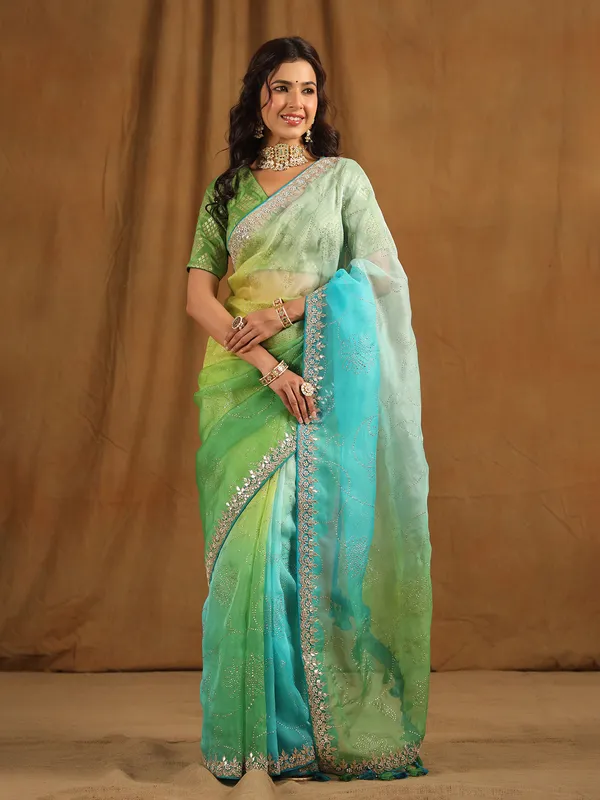 Green shaded organza saree