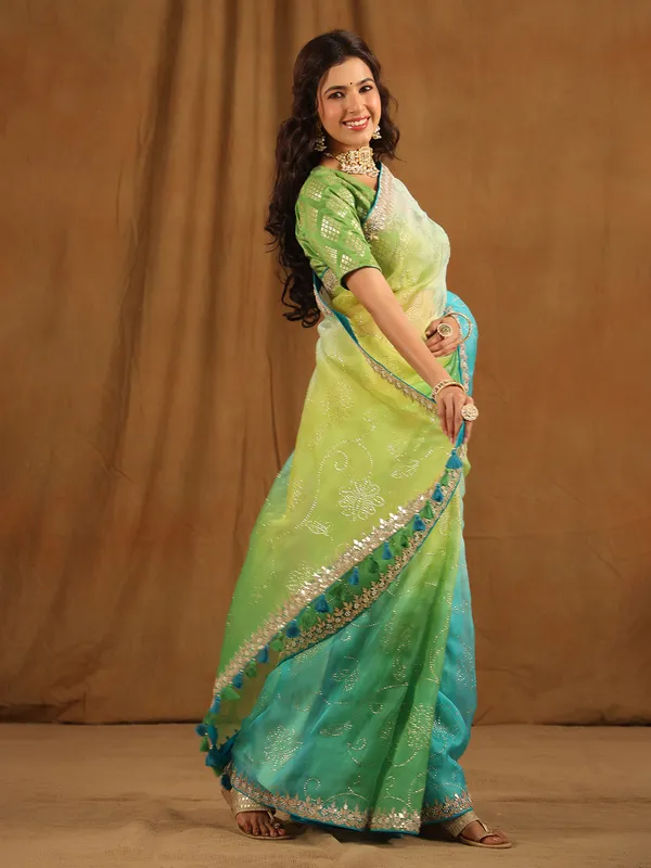 Green shaded organza saree