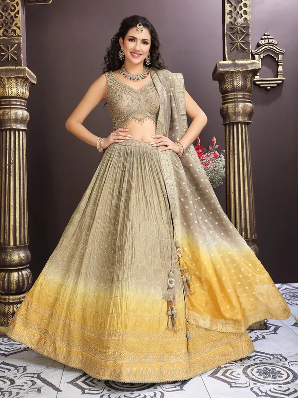 Grey georgette lehenga choli with aabla embroidery work