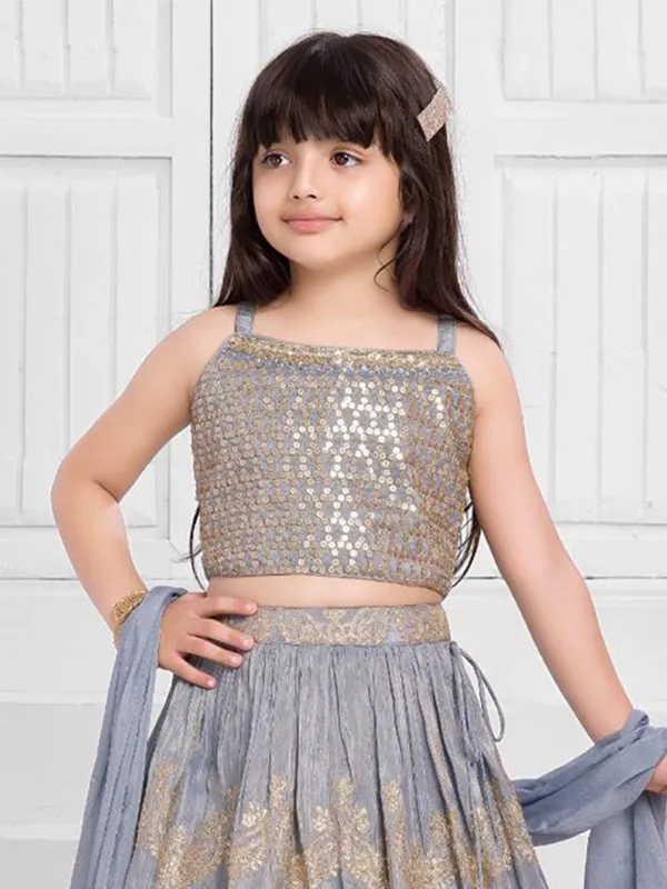 Grey silk sleeveless lehenga choli with dupatta