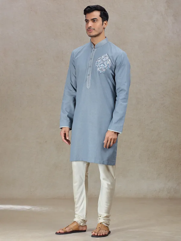Grey sophisticated mens elegant kurta suit