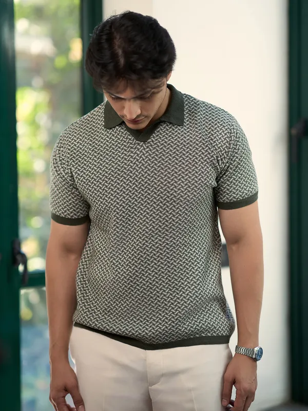 HAMPTONS olive textured slim fit mens t-shirt