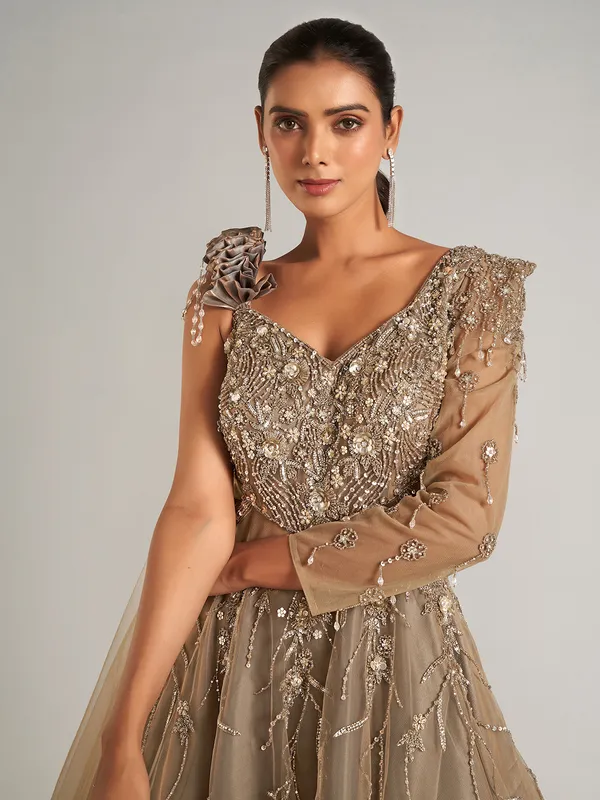 Latest beige net designer gown