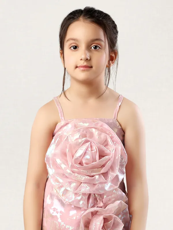 Leo n Babes organza peach dress