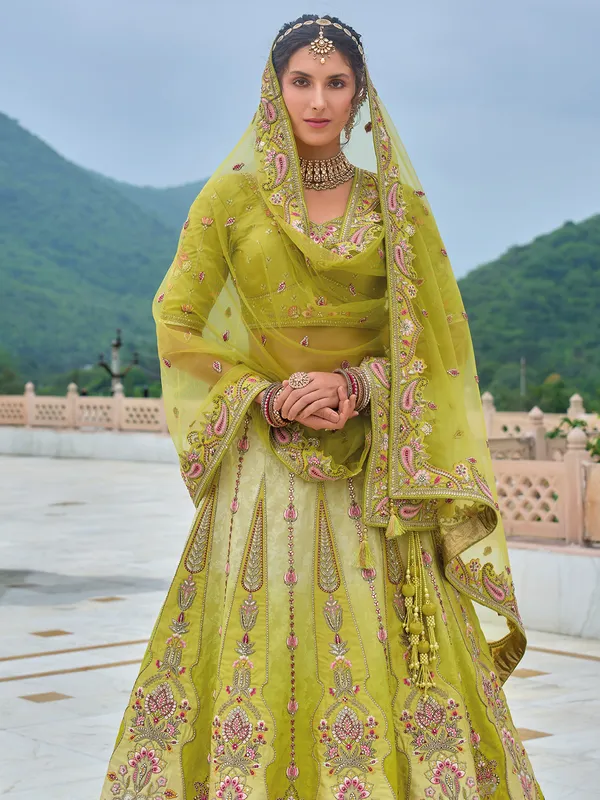 Letest light green lehenga choli for wedding