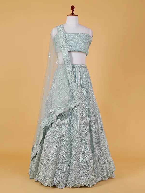 Light blue net embroidery lehenga choli
