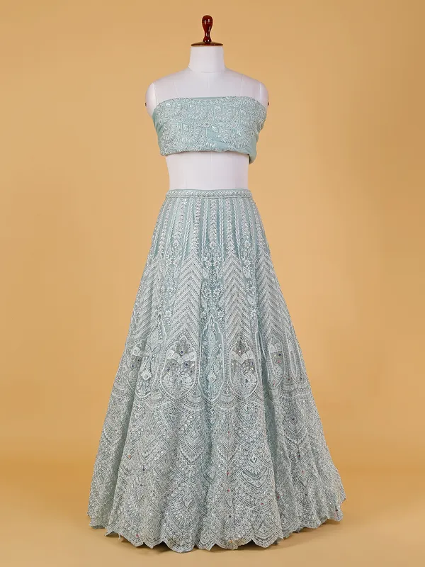 Light blue net embroidery lehenga choli