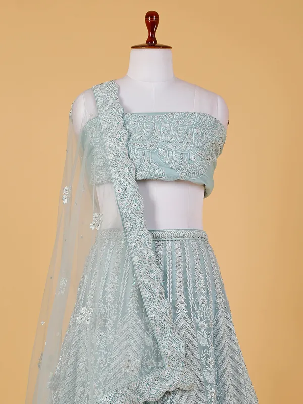 Light blue net embroidery lehenga choli