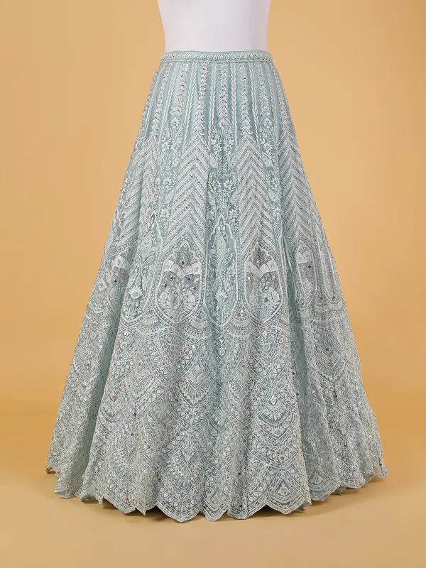 Light blue net embroidery lehenga choli