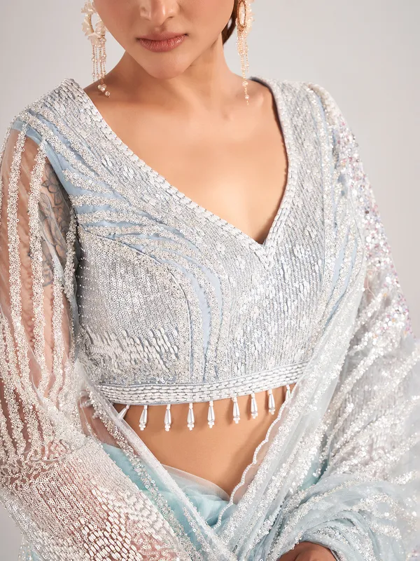 Light blue net with designer saree