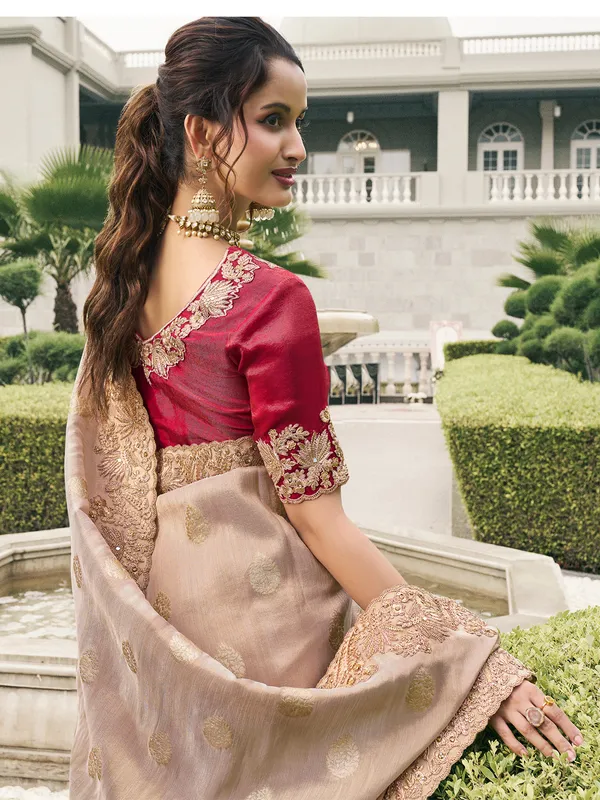 Light brown tissue silk saree with refined look