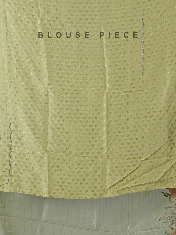 Light green organza saree for women
