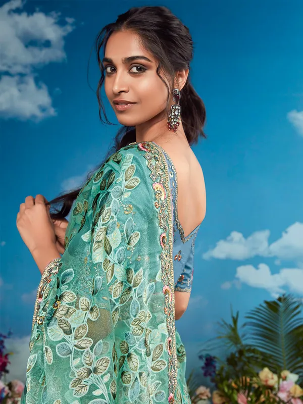 Light green saree with embroidery border