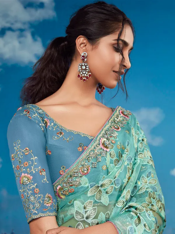 Light green saree with embroidery border