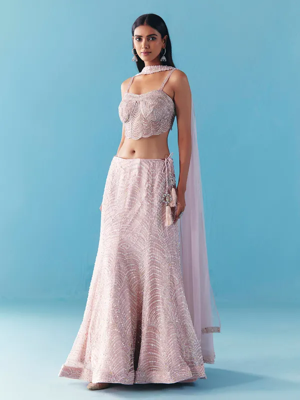 Lilac purple net designer lehenga choli with dupatta